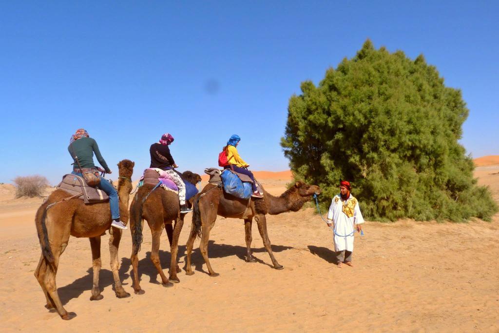 Merzouga Camp Hotel Ruang foto